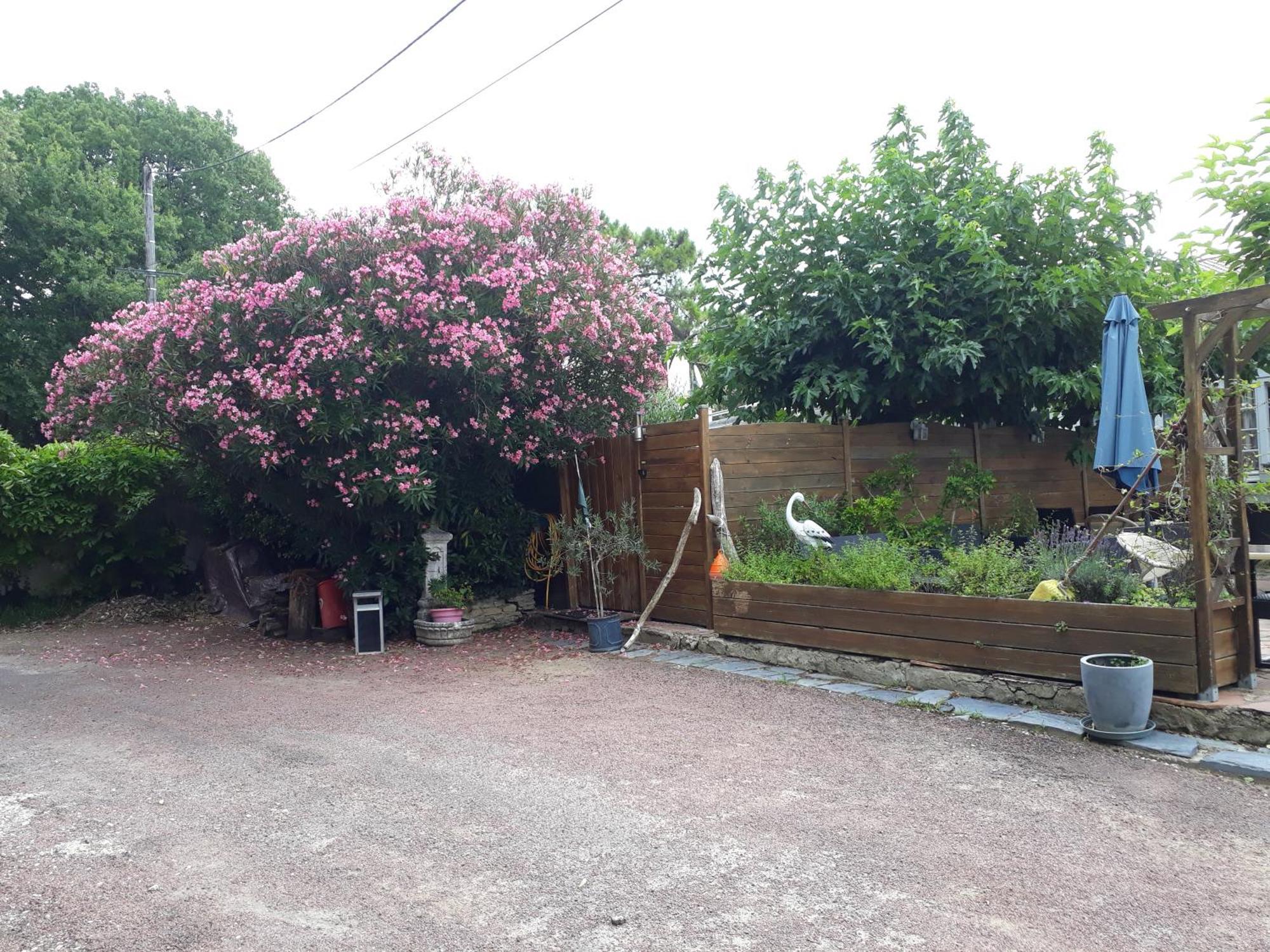 Residence Fleur Des Pins - Gites & Chambres D'Hotes Saint-Georges-d'Oleron Exterior photo